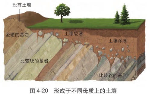 中国土壤类型分布、土壤学经典用图30张 - 杭州凤都数字科技有限公司